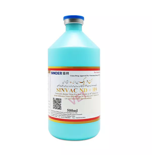 Những con gà phổ biến nhất bị bệnh là gì?