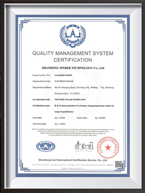ISO9001-Sơn Đông Sinder-EN&CN_01