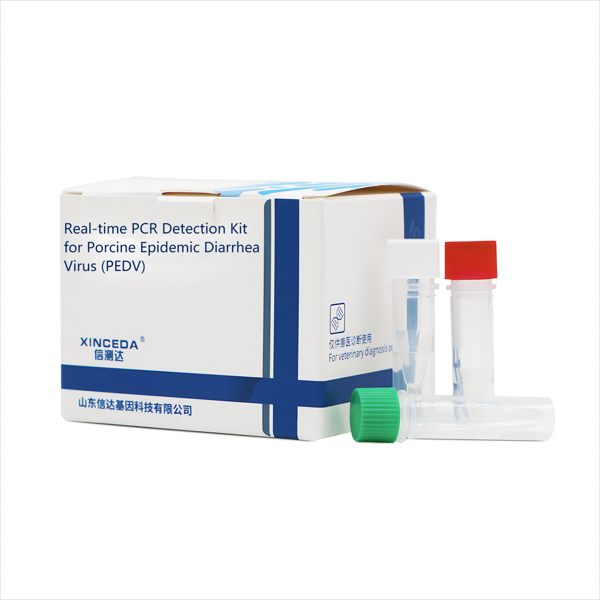 PEDV PCR.png