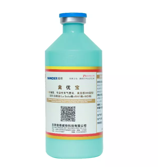 Có đáng để tiêm vắc -xin gà không?