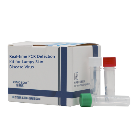 LSDV PCR.png