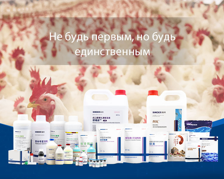 Vai trò của thuốc trong việc duy trì sức khỏe vật nuôi