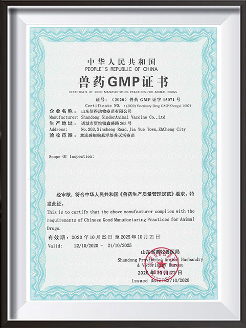 GMP-SINDER Vắc xin Gia súc
